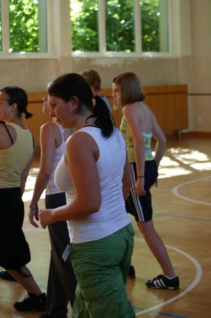 doe2008_260