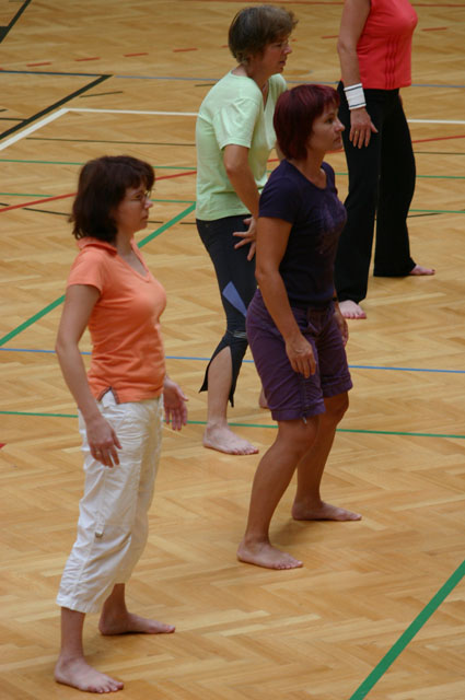 doe2008_315