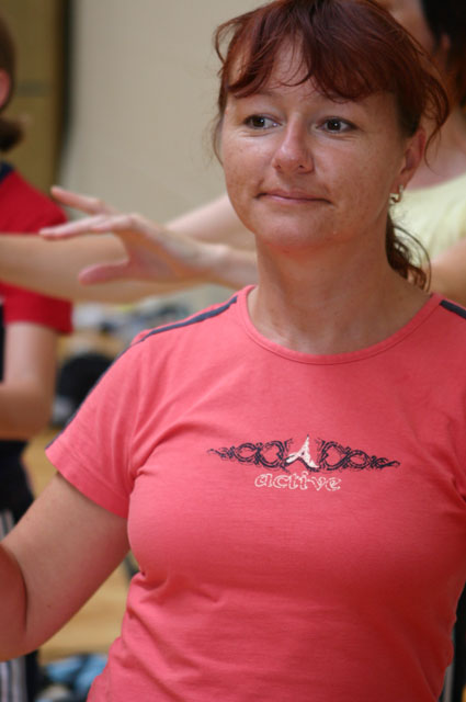 doe2008_353