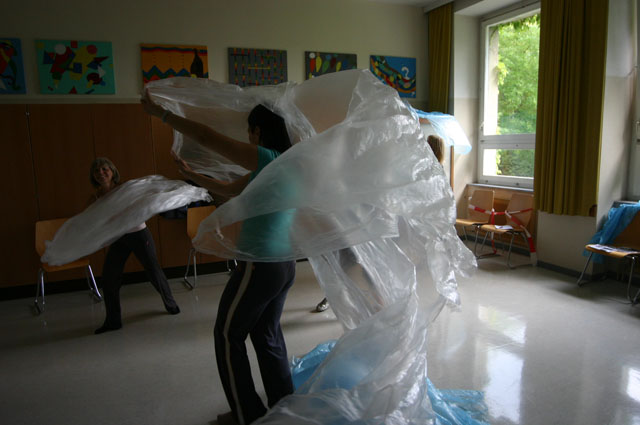doe2008_377